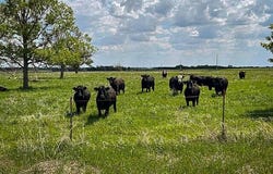 46160 SD Hwy 15, Wilmont, SD 57279