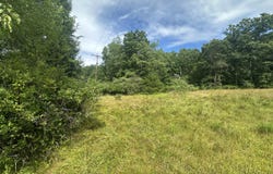 Moncove Lake Road, Gap Mills, WV 24941