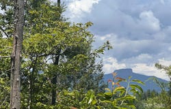 5282 Nc 181 Street, Morganton, NC 28655