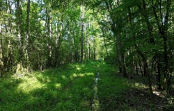 Us-51, Bogue Chitto, MS 39629