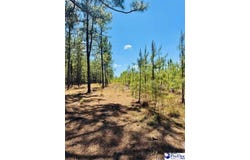 JC Barefoot Rd, Patrick, SC 29584