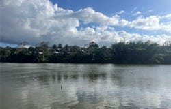 Urb. Paraiso Sta Barbara REINA DE LAS FLORES, GURABO, 00778