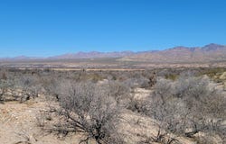 TBD W Hinton Road, Fort Thomas, AZ 85536