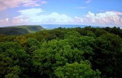 381 Patton School Road, South Pittsburg, TN 37380