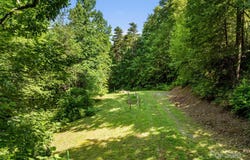 157 Shadow Run Road, Hendersonville, NC 28792