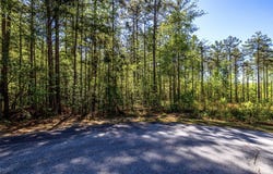 Pine Ridge Way lot: E-30, Salem, SC 29676