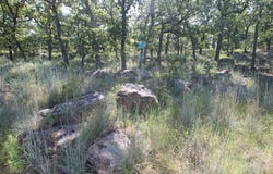 Lot 265 Ridgeline Drive, Chico, TX 76431