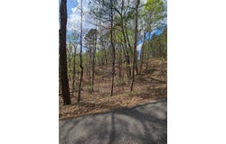 135 Adair Drive, Ranger, GA 30734