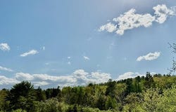 Duck Cove (formerly Brookside) Road, Orland, ME 04472