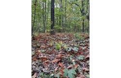 9999 Oak Ridge Road, Hendersonville, NC 28792