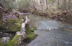 207 County Road 561, Woodland, AL 36280