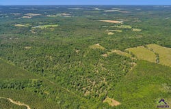 Parcel 5 Everett Wood Road, Oglethorpe, GA 31068