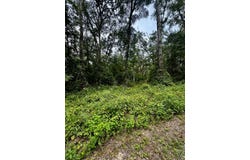 NE 642nd St, Old Town, FL 32680