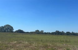 FM 607 S, Murchison, TX 75778