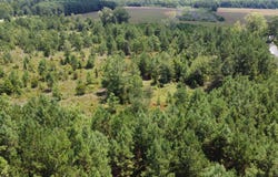 0 Salem Rd, Turbeville, SC 29051