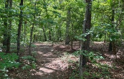 Fouts Mill Rd, Douglasville, GA 30135