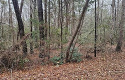 JACOBUS CREEK RD lot: 25, MACHIPONGO, VA 23405
