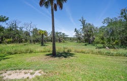 941 Hammocks Way, Edisto Island, SC 29438