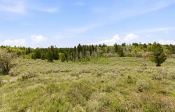 23133 E ALTA Dr, Spanish Fork, UT 84660