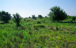 County Street 2700, Cyril, OK 73029