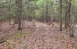 Pole Bridge Road, Woodstock, CT 06281
