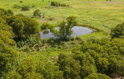 Tbd Nw Cr 4160 & 4150, Frost, TX 76641