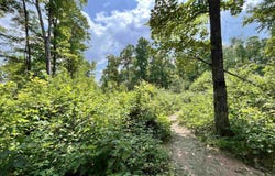 17290 County Road 468, Newberry, MI 49868