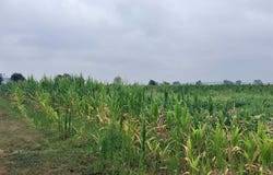 16.03 Acres Dennis Court, Prairie du Sac, WI 53578