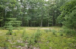 2.84 Acres Butchs Road, Hawley, PA 18428