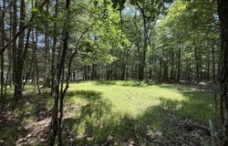 497 Timber Ridge Drive, Hawley, PA 18428