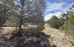 Lot 162 Forest Acres, Seligman, AZ 86337