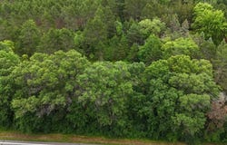 Tbd Hillton Road, Little Falls Twp, MN 56345