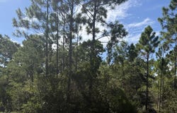 Shadow Bay Dr lot: 21, Eastpoint, FL 32328
