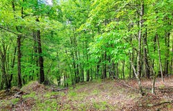 Off Mason Road, Brasstown, NC 26805
