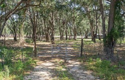 25399 MONDON HILL ROAD, BROOKSVILLE, FL 34601