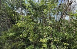 0 Dunkard, Harrison, AR 72601