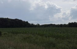 Xxx Athens, Stacy, MN 55079