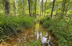 7016  County Road 65, Fruithurst, AL 36262