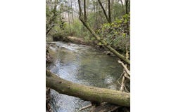 0 Lone Wolf Trail, Spencer, TN 38585