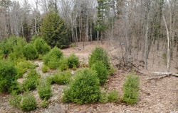 10 Mountain Rd, Mt Washington, MA 01258