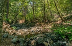 1371 Eagle Creek Loop Rd, Coffee Creek, CA 96091