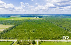 Co Road 87, Elberta, AL 36530