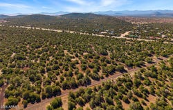 20 CR N8623 --, Concho, AZ 85924