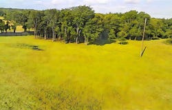 15761 County Road 668, Blue Ridge, TX 75424