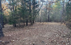 CR 311, OXFORD, MS 38655
