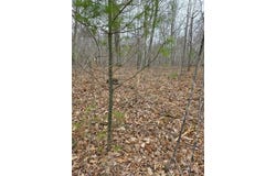 Lot 9 Lukes Lane, Danbury, WI 54830