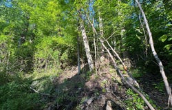 EDGEMONT Road, FREDERICK, MD 21702