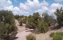 Lot 45 Abbe Springs, Magdalena, NM 87825