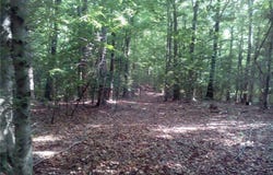 0000 Millers Landing Road, Gloucester County, VA 23061