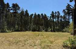 87219 BEACH LN, Bandon, OR 97411